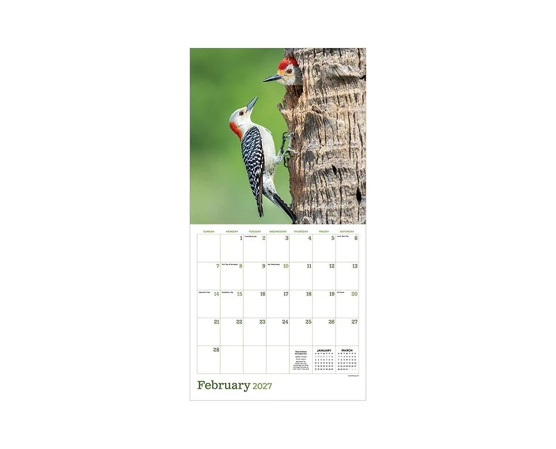 Tf Publishing Paper Goods 2027 Backyard Birds Wall Calendar