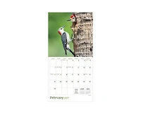 Tf Publishing Paper Goods 2027 Backyard Birds Wall Calendar