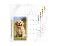 Tf Publishing Paper Goods 2027-2028 Dog Small Monthly Pocket Planner