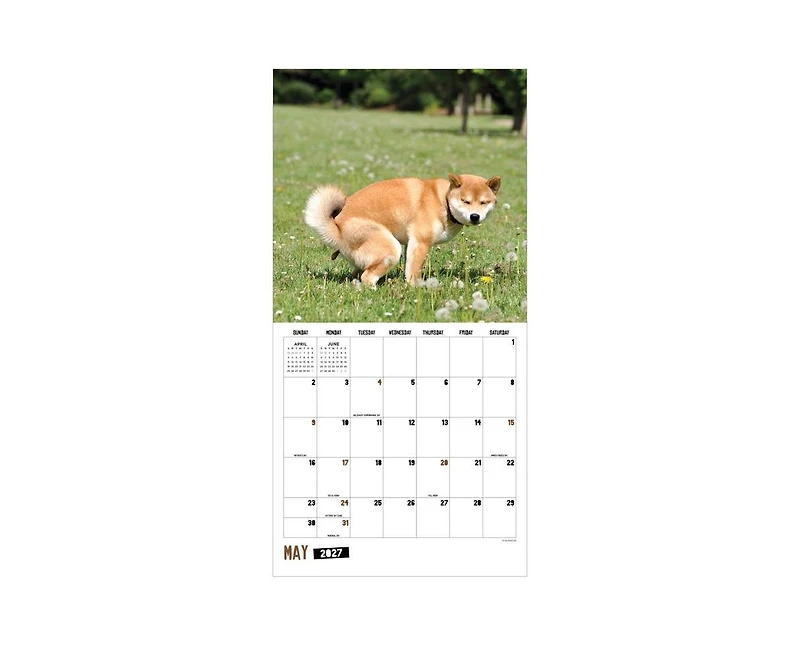 Tf Publishing Paper Goods 2027 Pooping Dogs Wall Calendar