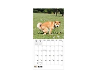 Tf Publishing Paper Goods 2027 Pooping Dogs Wall Calendar