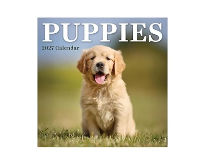 Tf Publishing Paper Goods 2027 Puppies Mini Calendar