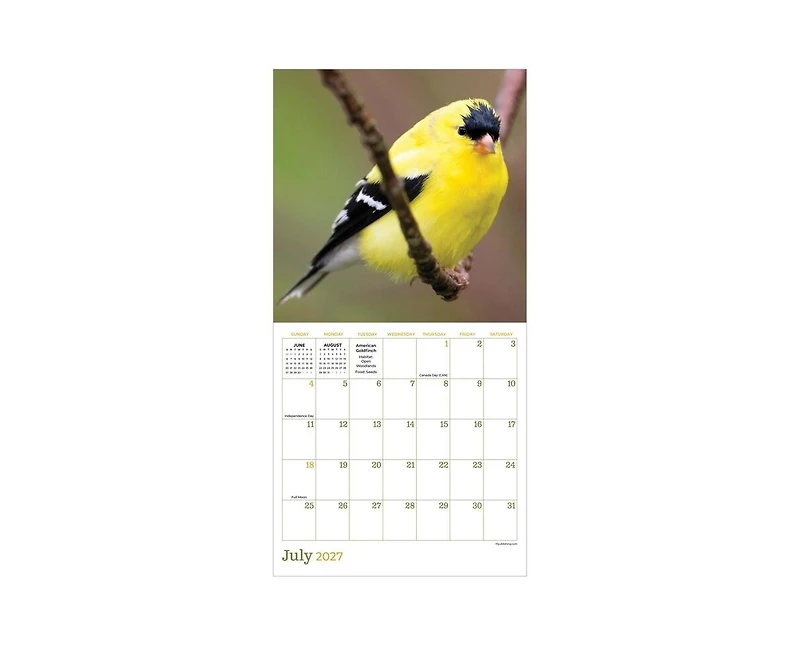 Tf Publishing Paper Goods 2027 Backyard Birds Mini Calendar