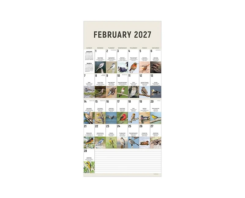 Tf Publishing Paper Goods 2027 Birds Backyard and Beyond Wall Calendar