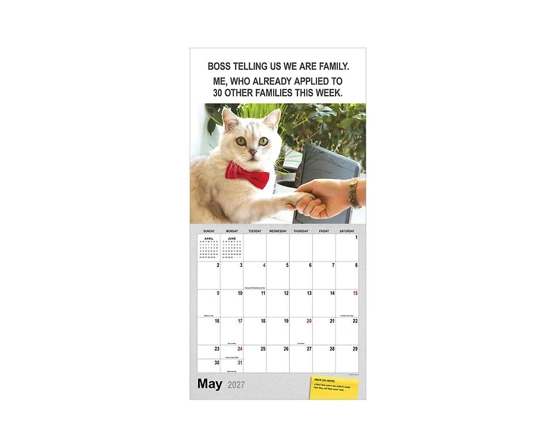 Tf Publishing Paper Goods 2027 Corporate Cats Wall Calendar