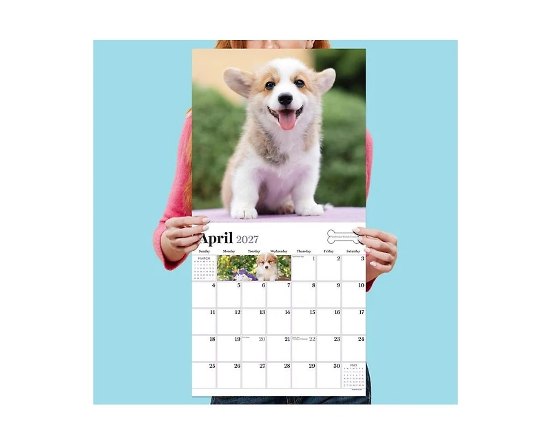 Tf Publishing Paper Goods 2027 Puppies Wall Calendar