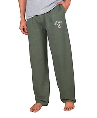Concepts Sport Men's Green Boston Red Sox Mainstream Terry Pants