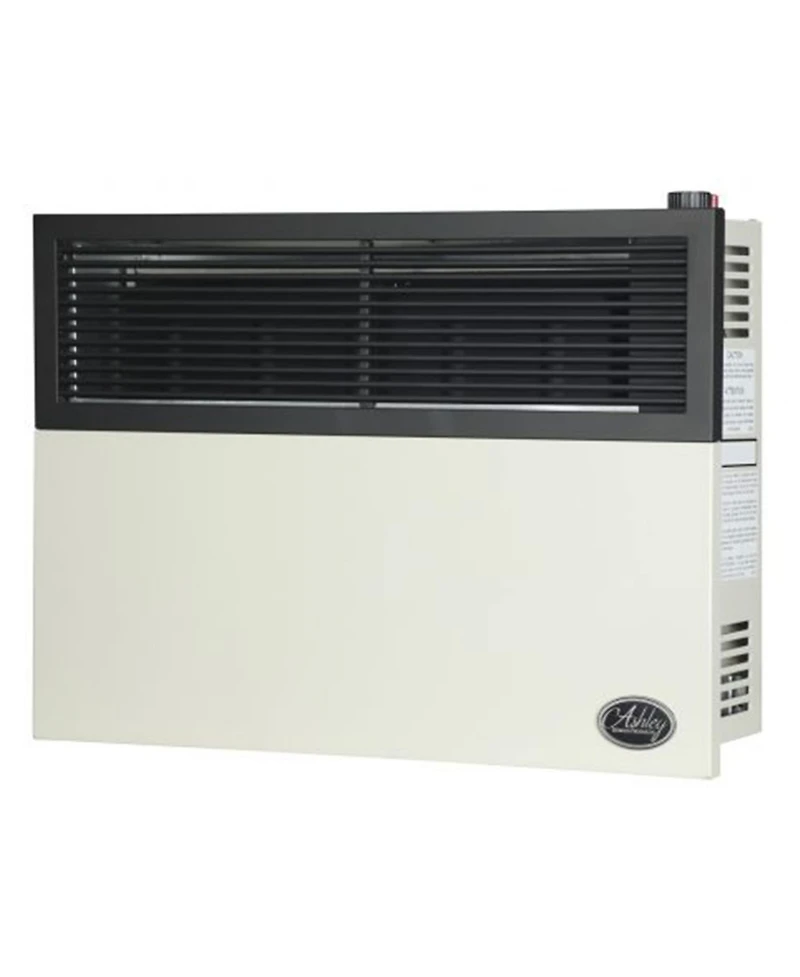 Ashley Hearth Products 17,000 Btu Direct Vent Liquid Buddy Propane Wall Mount Heater