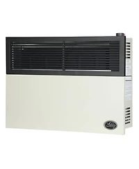 Ashley Hearth Products 17,000 Btu Direct Vent Liquid Buddy Propane Wall Mount Heater