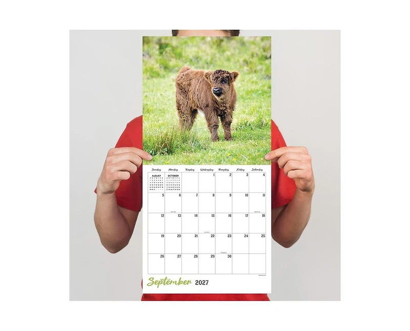 Tf Publishing Paper Goods 2027 Highland Cows Wall Calendar