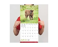Tf Publishing Paper Goods 2027 Highland Cows Wall Calendar