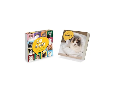 Tf Publishing Paper Goods 2027 Cat A Day Daily Desktop Calendar
