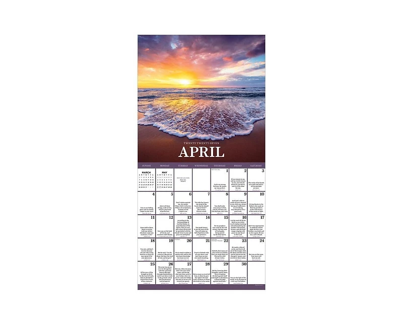 Tf Publishing Paper Goods 2027 Daily Verse Wall Calendar