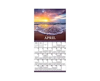 Tf Publishing Paper Goods 2027 Daily Verse Wall Calendar