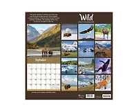 Tf Publishing Paper Goods 2027 Wild Wall Calendar