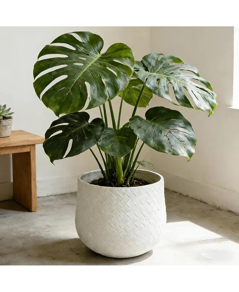 Streamdale Furniture Set of 3 Round Magnesium Oxide Planters with Weaving Pattern
