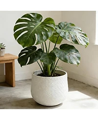 Streamdale Furniture Set of 3 Round Magnesium Oxide Planters with Weaving Pattern