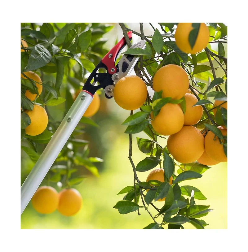 Xdovet Cut Hold Pruner Long Reach Rotating Head Garden Trimmer