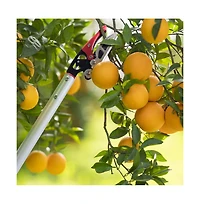 Xdovet Cut Hold Pruner Long Reach Rotating Head Garden Trimmer
