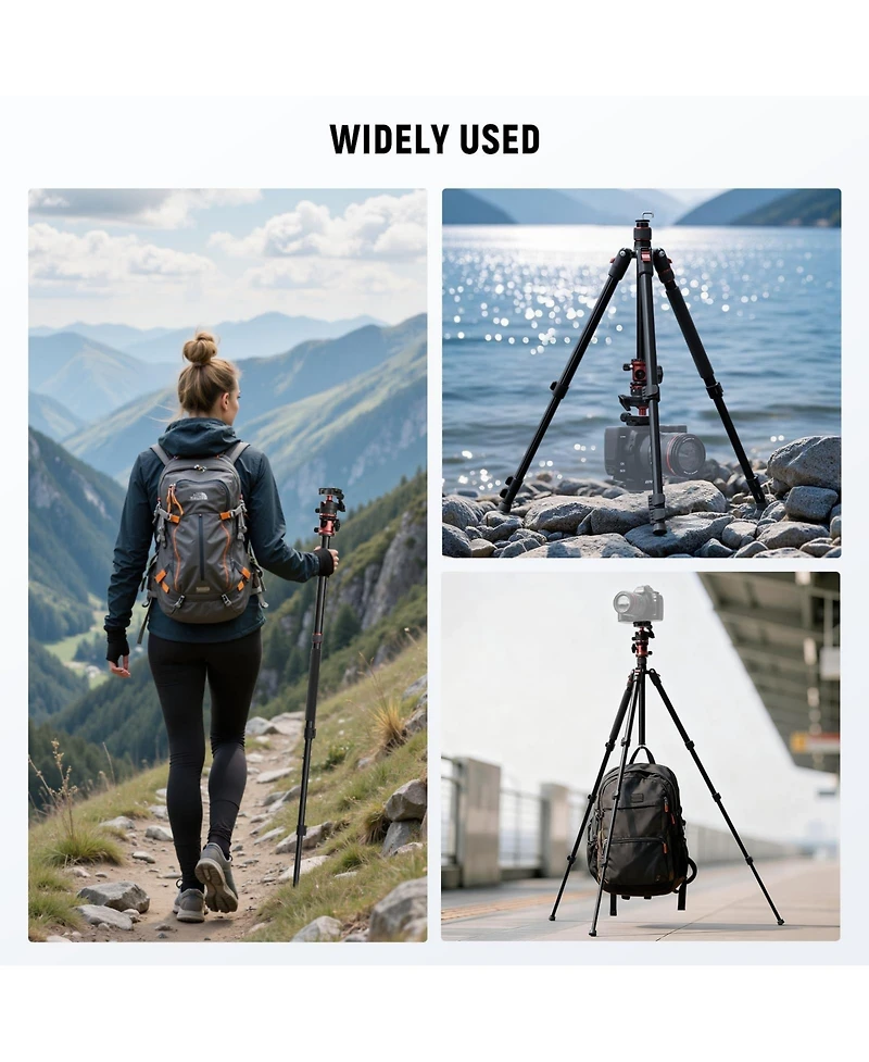 Neewer TP16 Camera Tripod with 17.6 lbs for select iPhone models