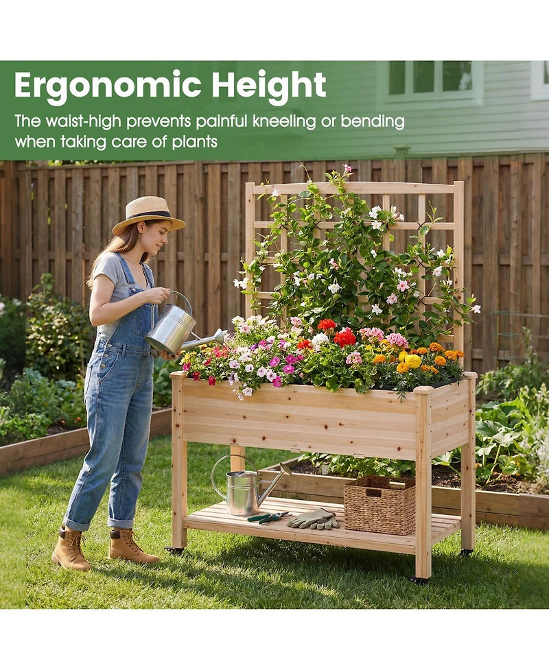 Costway Wooden Raised Garden Bed with Trellis 47x23x65 in, Liner, Drainage Holes