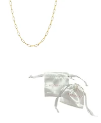 Adornia Tarnish Resistant Gold Paperclip Chain Necklace