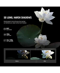 Neewer RF1-n Camera and Photo Accessory with 76Ws, 5600K, Ttl for Nikon Camera