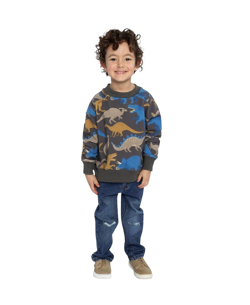 Deux par Toddler Boy (2T-5T) Dinosaur Print Fleece Sweatshirt