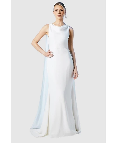 Coast Women's Chiffon Cowl Neck Maxi Dress