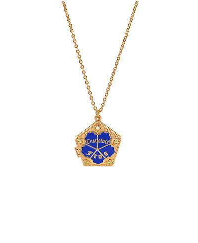 Girls Crew Crystal Harry Potter Chocolate Frog Locket Necklace