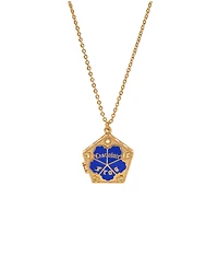 Girls Crew Crystal Harry Potter Chocolate Frog Locket Necklace