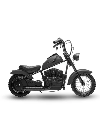homfan 24V 250W Electric Dirt Bike for Kids, 2-Speed Ride On Motorcycle, Up to 14 Mph, Leather Seat, Rear Brake, For Ages 8-12