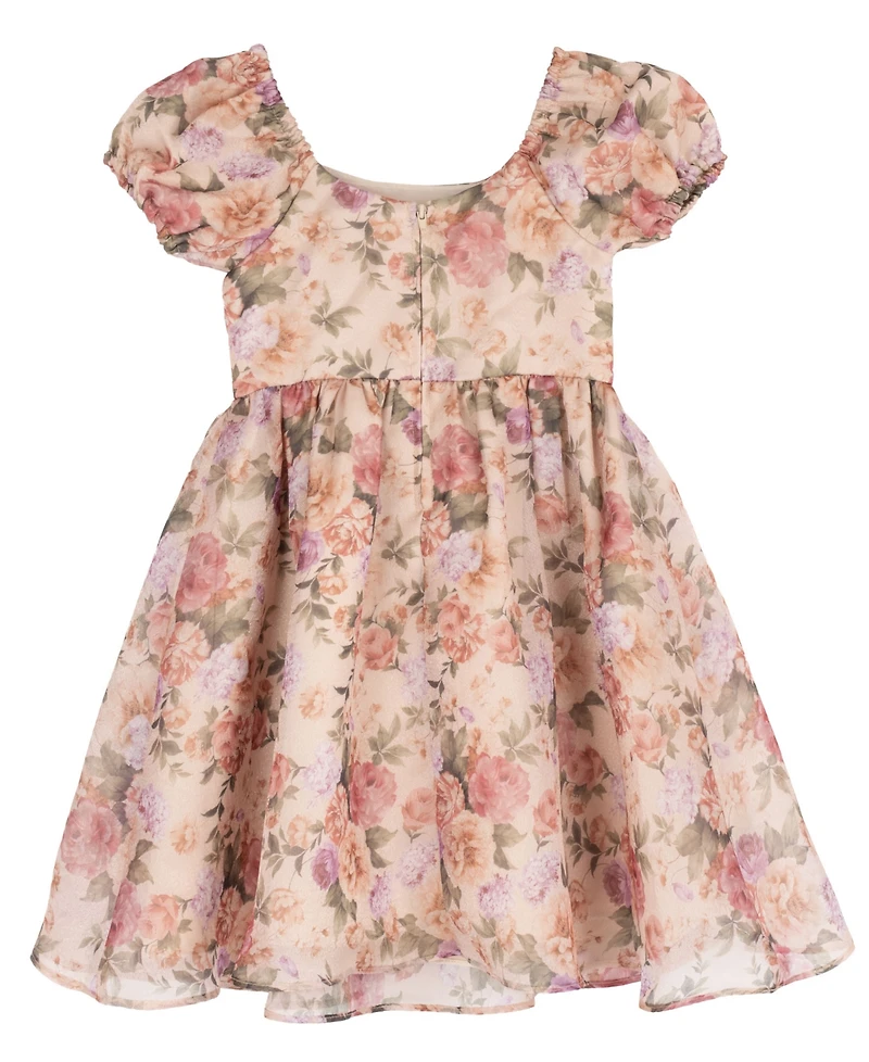 Rare Editions Girls' 2T-6X Floral Print Shimmer Organza Puff Sleeve Dress