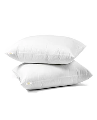 C&C California Crescent Embossed 2-Pack Pillow, Standard