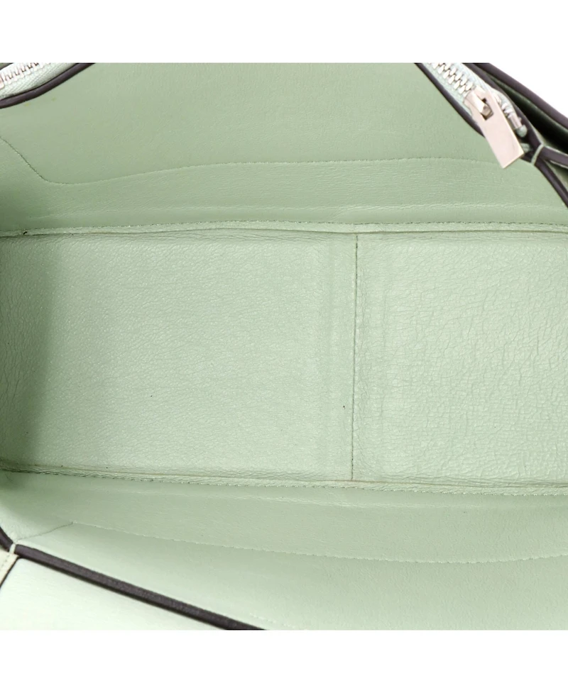 Pre-Owned Celine Medium Frame Shoulder Bag Leather