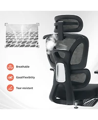 homfan Ergonomic Office Chair with Adjustable Headrest, Lumbar Support, 3D Armrests, and Retractable Footrest