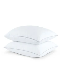Charisma High-Lofting Swiss Dot Embossed 2-Pack Pillow Set, Standard/Queen