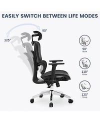 homfan Ergonomic Executive Office Chair, High Back Mesh Computer Chair with Adjustable Headrest and Lumbar Support for Home Office