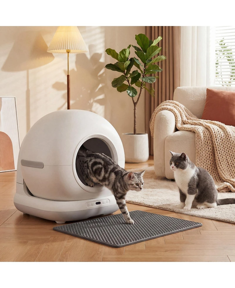 Ruie Automatic Self-Cleaning Cat Litter Box with App Control