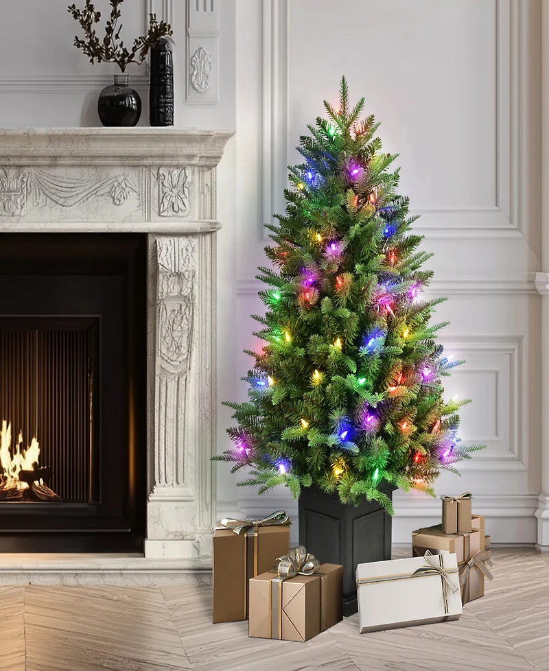 Puleo International 40" Pre-Lit Fraser Fir Potted Tree
