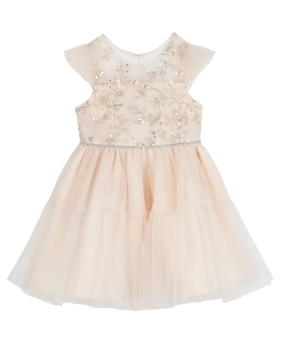Rare Editions Girls' 2T-6X Sequin Floral Mesh Dress