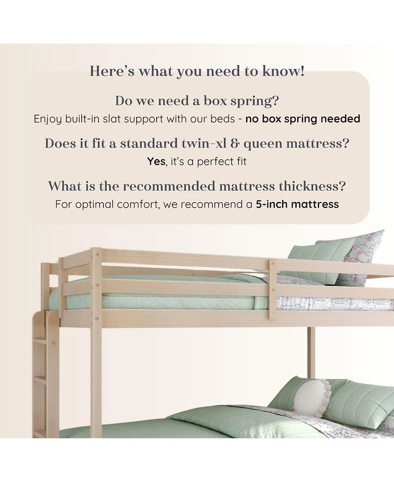 Grain & Grove Bear Plywood Twin Xl Queen Bunk Embossed