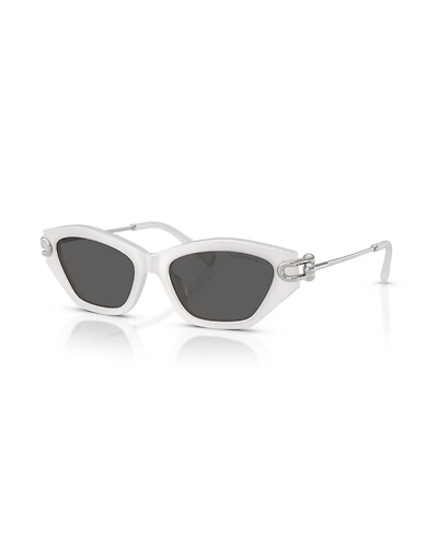 Tiffany & Co. Women's Sunglasses, TF4231U