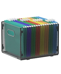 Danrong Mesh Hanging File Organizer Collapsible Letter Storage Box