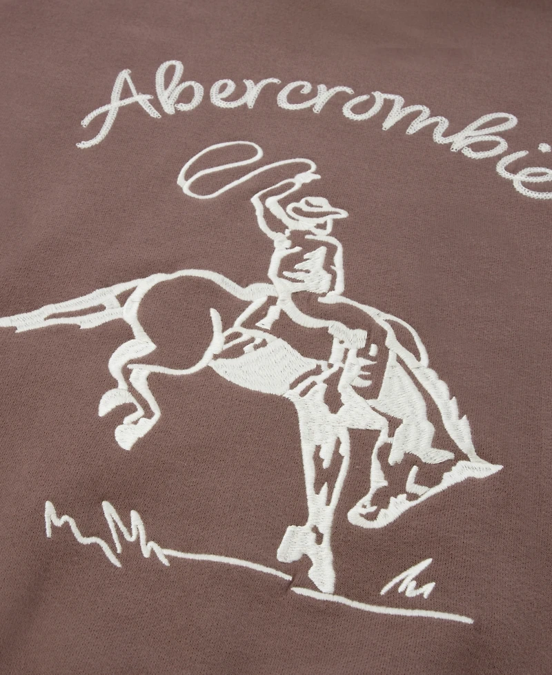 abercrombie kids Boys' 5-18 Saddle Up Hoodie