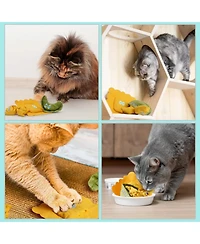 Pawsible 3 Pack Pasta Cat Toy Set Filled with Premium Catnip, Natural Stimulation and Teething Toy for Kittens and Cats