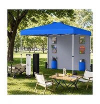 Gouun 10 x 10 Ft Pop Up Canopy Tent with Sidewall 6 Pockets and Sandbags