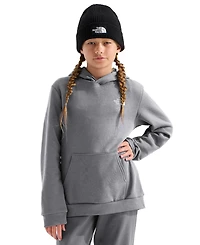 The North Face Boys' and Girls' 7-20 Evolution Simple Dome Long-Sleeve Hoodie