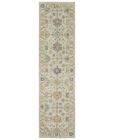Oriental Weavers Palace 2'6"x10' Runner Area Rug