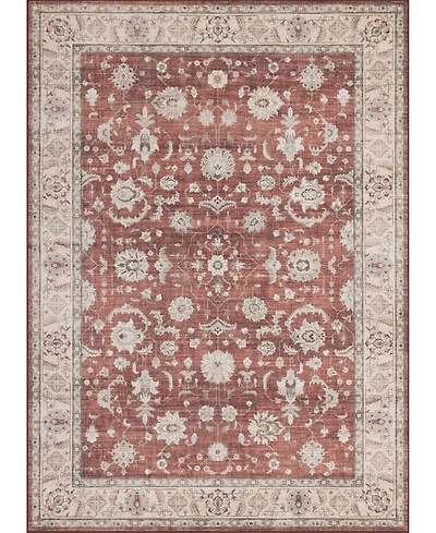 Mink Home Homewell Machine Washable HAM4008 9'x12' Area Rug